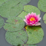 20113d开奖结果走势图最新数据分析与历史图表 1vhq5ajvzn