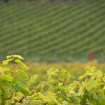 3d开奖号码最新结果查询与历史开奖数据分析 2bii5