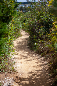 2010140期双色球开奖结果最新公布 2010140期双色球开奖结果最新公布