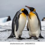 3d开奖号码精准计算与预测方法全解析 5wo1d8