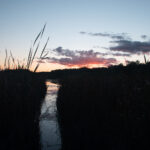 2012061期双色球开奖号码结果查询 6x8m7h