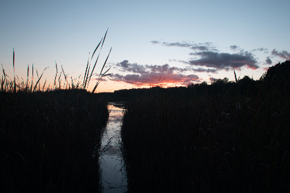 2012061期双色球开奖号码结果查询 2012061期双色球开奖号码结果查询