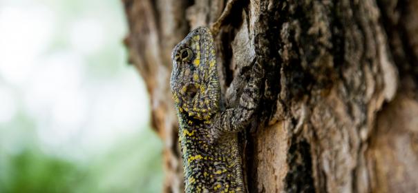 3D开奖号码的全面解析与预测技巧 3D开奖号码的全面解析与预测技巧