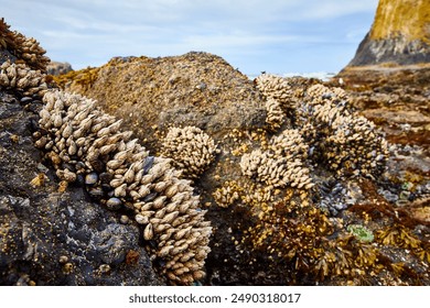 2011年3D彩票历史开奖号码全记录 2011年3D彩票历史开奖号码全记录