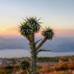 3d开奖号试机号走势图带连线专业版最新图表 g61ron18f