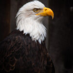 20114期体彩开奖结果及详细号码公布 gbr74wg