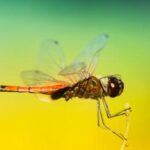 2011年3d开奖号码历史记录完整回顾 qfeij