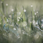 20111期中国体育彩票最新开奖结果查询 ui8q0p5