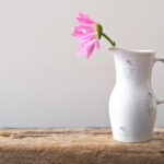 2009年,那些经典赛事与晚会都在哪里直播? z6t2jqk